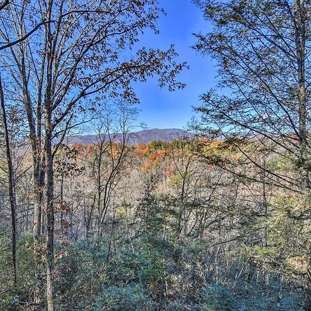 Natures Retreat With Hot Tub 7 Mi To Bryson City Whittier エクステリア 写真